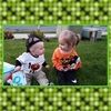 sunflower_808